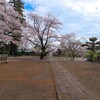 弘経寺の桜 （常総市）～つくば市とその周辺の風景写真案内（１０１５） 