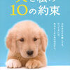 『犬と私の10の約束』