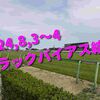 2024,8,3～4 トラックバイアス結果 (新潟競馬場、札幌競馬場)