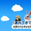 FIP治療でモルヌピラビルが有効という報告を掲載している動物病院様【モルヌピラビル在庫あり】