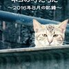 島根県・温泉津（ゆのつ）、ふるカフェ系　ハルさんの休日