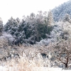 日本　散歩コースの雪景色