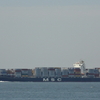 MSC ANGELA