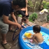 夏の思い出  (1)