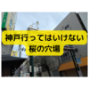 神戸の行ってはいけない桜スポット【神戸観光穴場スポット】