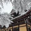 京都ぶらり　本日の一枚　雪の京都　南禅寺
