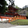 真実の歴史妄想隊参上❣春日大社と興福寺・薬師寺のリサーチ