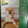  犬川柳 2024 