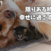 限りある時間を幸せに過ごすために。