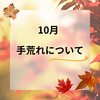 手荒れについて