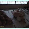 旅行記　二日目　復活の朝編