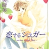 【BL漫画・BLコミックレビュー】恋するシュガー【分冊版】　4