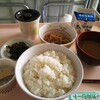 朝御飯