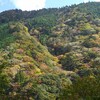 比良山地（シャクシコバの頭　南西尾根）