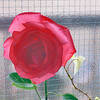花粉症？？目のかゆみ・くしゃみ・鼻むずむず