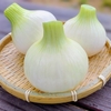 【相葉マナブ】新玉ねぎの中華炒めのレシピ【5月31日】