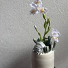 植木鉢「ダンゴムシ」 x シャガ