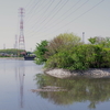 大沼親水公園の春 3