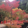 紅葉色づく瀬戸内御礼詣　～鞆の浦・大山祇神社・厳島神社～ 