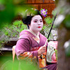 2026年9月の京都府への旅行まで後3週間を切って。