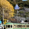 江ノ電３００形　龍口寺の銀杏、見納め