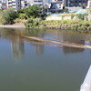 お出かけ