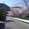 田舎暮らし（その１５）四季・４月から９月の景色