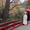  鶴岡八幡宮で飼い主が結婚式を挙げました