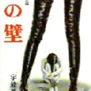 混住社会論14 宇能鴻一郎 肉の壁 光文社 一九六八年 と豊川善次 サーチライト 一九五六年 出版 読書メモランダム 混住社会論14 宇能鴻一郎 肉の壁 光文社 一九六八年 と豊川善次 サーチライト 一九五六年 出版 読書メモランダム