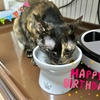 今日はもなちゃん2歳のお誕生日♪