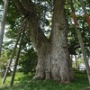 晩夏（！？）の会津お城めぐり Part.3  神指城編 
