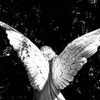 私も負け続けて、心が折れそうになった、でも、立ち直った5つの方法