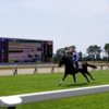 新潟競馬