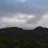 DAY#92 Porter's creek hut to St Arnaud (31)