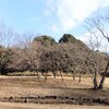 冬の午後  平和公園を歩く