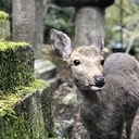 ミニマムストレスＬｉｆｅ