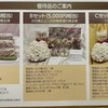【株主優待】巨大舞茸をみて見たかったのよ