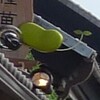 芽が出る看板