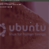 LXC使ってUbuntu上でCentOSを動かしてみた。