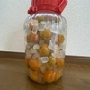 お安く手に入れた傷梅で、梅シロップと梅ジャムを作ってみた