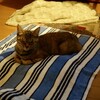 不思議なこと