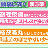 漢方薬による頭痛予防