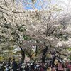 2024/4/7 東京・春・音楽祭（ニーベルングの指環ガラ）