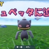 アニポケで涙するアラサーはジュペッタに癒されカイリューに笑う