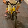 3歳児、ついに自転車の・・・