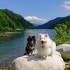 初夏の奥利根湖を漕ぐ