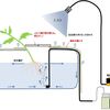 ベランダ水耕栽培⑧　栽培水槽の方式、シンプル自作水耕栽培の勧め