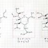 寒気到来にインフルエンザ―インフルエンザ診断・治療の最近の情報まとめ