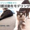 【YouTubeライブ配信】猫の保護活動をモデリング 8月9日(金) 20時〜