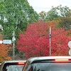 平和公園に秋を見に行く